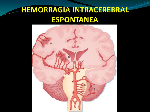 Imagen de portada
