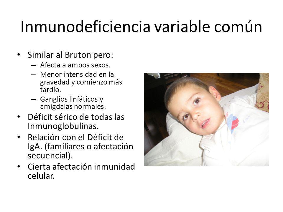 Imagen de portada