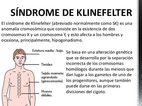 Imagen de portada